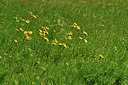 BUITEN BEELD Foto: 298133