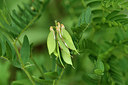 BUITEN BEELD Foto: 298141