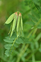 BUITEN BEELD Foto: 298143