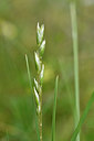 BUITEN BEELD Foto: 298151