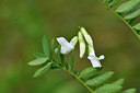 BUITEN BEELD Foto: 298165