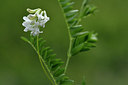 BUITEN BEELD Foto: 298167