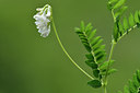 BUITEN BEELD Foto: 298171