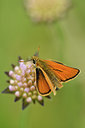 BUITEN BEELD Foto: 298188