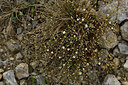 BUITEN BEELD Foto: 298189