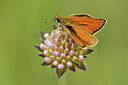 BUITEN BEELD Foto: 298190