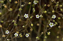 BUITEN BEELD Foto: 298191