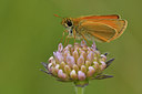 BUITEN BEELD Foto: 298192
