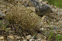 BUITEN BEELD Foto: 298193