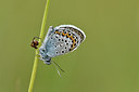 BUITEN BEELD Foto: 298201