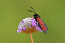BUITEN BEELD Foto: 298213