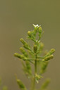 BUITEN BEELD Foto: 298216