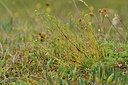 BUITEN BEELD Foto: 298222