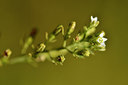 BUITEN BEELD Foto: 298228