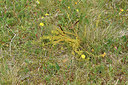 BUITEN BEELD Foto: 298232