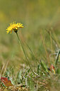 BUITEN BEELD Foto: 298244