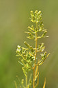 BUITEN BEELD Foto: 298246