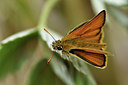 BUITEN BEELD Foto: 298253