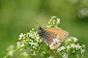 BUITEN BEELD Foto: 298265