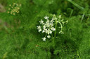 BUITEN BEELD Foto: 298268