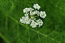 BUITEN BEELD Foto: 298272
