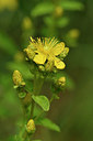BUITEN BEELD Foto: 298274