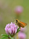 BUITEN BEELD Foto: 298279