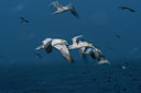BUITEN BEELD Foto: 298321
