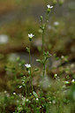BUITEN BEELD Foto: 298360
