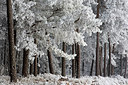 BUITEN BEELD Foto: 298377