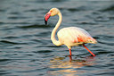BUITEN BEELD Foto: 298460