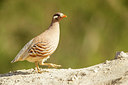 BUITEN BEELD Foto: 298492