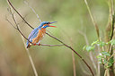 BUITEN BEELD Foto: 298562