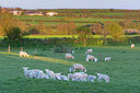 BUITEN BEELD Foto: 298675