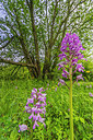 BUITEN BEELD Foto: 298706
