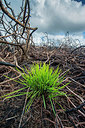 BUITEN BEELD Foto: 298712
