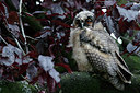 BUITEN BEELD Foto: 298723