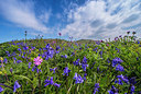 BUITEN BEELD Foto: 298740