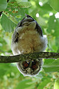 BUITEN BEELD Foto: 298747