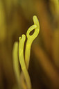 BUITEN BEELD Foto: 298803