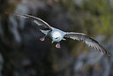 BUITEN BEELD Foto: 298849