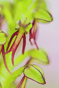 BUITEN BEELD Foto: 298882