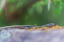 BUITEN BEELD Foto: 298901