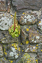 BUITEN BEELD Foto: 298983