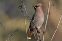 BUITEN BEELD Foto: 2033