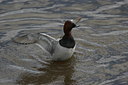 BUITEN BEELD Foto: 2262