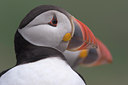 BUITEN BEELD Foto: 2297