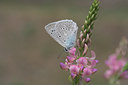 BUITEN BEELD Foto: 2445