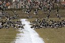 BUITEN BEELD Foto: 2579