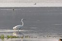 BUITEN BEELD Foto: 2593